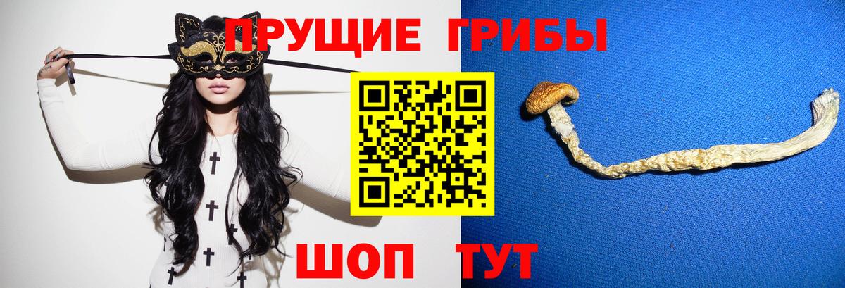 Псилоцибиновые грибы Magic Shrooms Самара